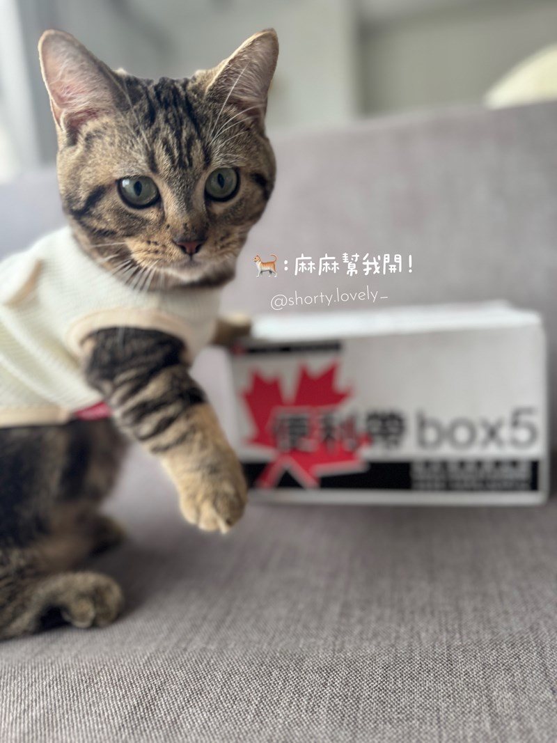 女人知己試用大隊,口碑行銷,部落客行銷,PURRFACT 波菲特貓用主食罐,主食罐,PURRFACT波菲特,貓主食罐,貓罐,PURRFACT波菲特貓用主食罐,魚肉蔓越莓主食罐,鮮嫩雞主食罐,鹿肉雞肉主食罐,牛肉鵪鶉貓主食罐,干貝蠶蛹配方,鱷魚肉白木耳配方,雞肉魚肉配方,安心鶉配方,評價,體驗,適口性佳,心得,成貓適用,高齡貓適用,質地是慕絲狀